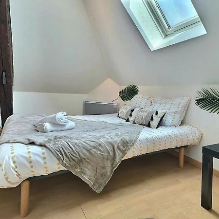 Le Travel - Appartement Equipe Proche Centre Et Yschools 特鲁瓦 外观 照片