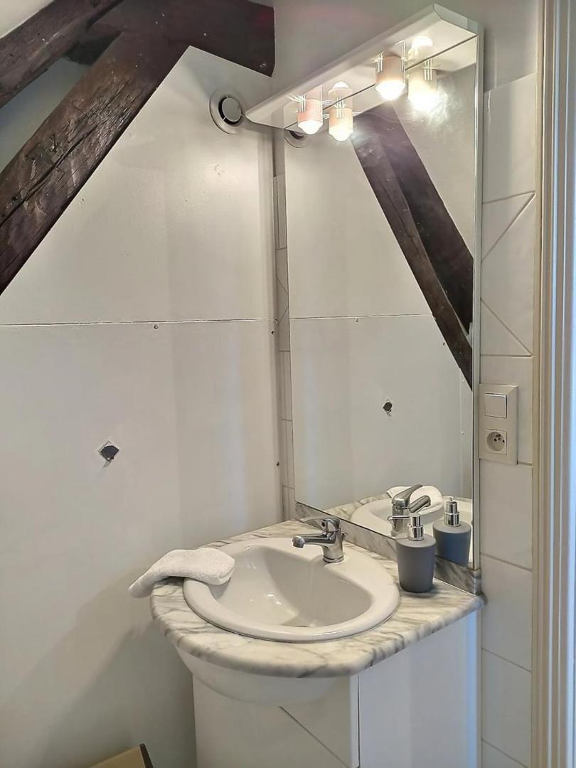Le Travel - Appartement Equipe Proche Centre Et Yschools 特鲁瓦 外观 照片